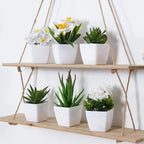Artificial plants small bonsai,6PCS  DIY crafts desktop windowsill display rack display decoration