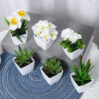 Artificial plants small bonsai,6PCS  DIY crafts desktop windowsill display rack display decoration