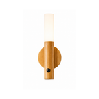 Rechargeable LED Lamp with Motion Sensor