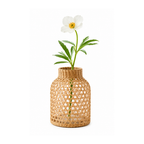 Decorative Glass Vase with Natural Fibre